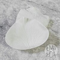 Khuôn Gân Cánh Hoa Hồng EH01