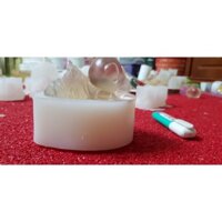 Khuôn heo tắm tiên đế bằng
