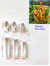 Khuôn hoa đất sét- Khuôn hoa Lan Mokara Mini