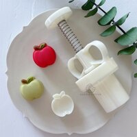 Khuôn Làm Bánh Trung Thu 20g / 50g Bằng Nhựa ABS Hình Quả Táo 3D DIY