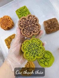 Khuôn nhấn TT lò xo 150g 1 mặt Cúc Thạch Thảo 2024