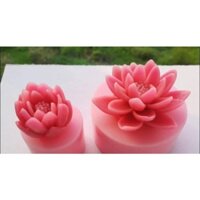 Khuôn rau câu hoa súng