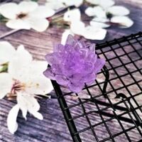 Khuôn silicon 4D sen đá cafe nhỏ