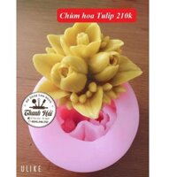 Khuôn Silicon Chùm Hoa Tulip đại.