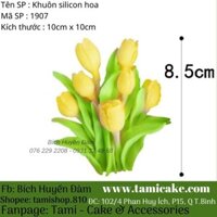 Khuôn silicon hoa 1907