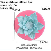 Khuôn silicon Hoa trạng nguyên 1460