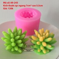 khuôn silicon xương rồng