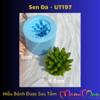 Khuôn Silicone 4D - UT197 - Xương Rồng TG150