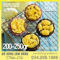 Khuôn TTLX 200-250gr - 04 mặt tròn CÁ (Cá, Đôi Cá TRUNG THU) (202520.02)