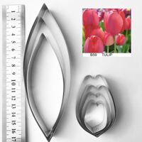 Khuôn Tulip Cánh Tim  Size M