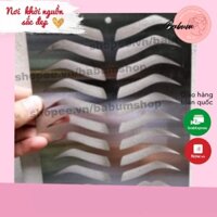 Khuôn Vẽ Mày Môi Inox Trên Da Giả Tập Phun Xăm
