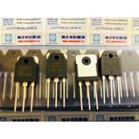 khuyến mại COMBO Túi 10 chiếc D718 lưng đồng - Sò 718 chính hãng