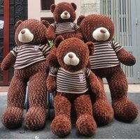 [KHUYẾN MÃI KHỦNG] Gấu Bông Teddy Siêu To Khổng Lồ Cao 1m6 Màu Vani Sữa,,Màu Sôcla