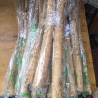 [khuyến mãi}Ngưu Báng Tươi Nhật 1 kg- Ngưu bàng tươi Nhật [Natural Food Ohsawa]