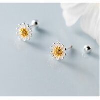 Khuyên tai bạc nữ hình hoa cúc chốt bi xoáy vặn