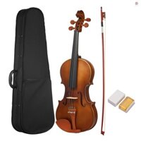 Kích thước đầy đủ 4 / 4 Acoustic Violin Spruce Wood Top Maple Back & Scroll & Fingerboard có hộp đựng nơ cho trẻ em Học sinh Người mới bắt đầu