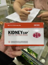 Kidney cap