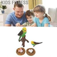 Kids Fitness 4 Thực Tế Vẹt Chu Kỳ Sinh Trưởng Hình Chơi Giáo Dục Mô Phỏng Chim Động Vật Mẫu Hình Cho Văn Phòng Nhà Cho Tiệc