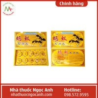 Kiến Càng Đen Tây Tạng