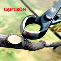 Kìm cạp bonsai hàng nội địa JAPAN mộc khắc chìm chính hãng bằng thép đúc nguyên khối không gỉ