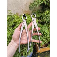 kìm cạp cây bonsai thép trắng cao cấp