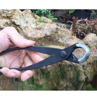 Kìm cạp đầu tròn Nhật Bản 21 cm cho cây bonsai, cây cảnh