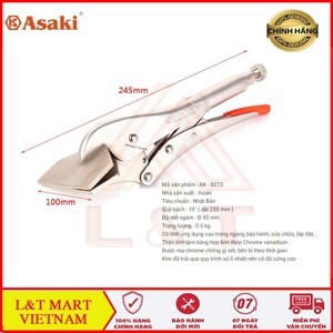 Kìm chết Asaki AK-8273 - C2-10inch