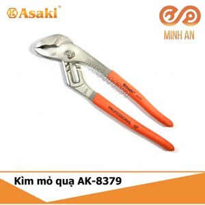 Kìm mỏ quạ Asaki AK-8379 - 10"