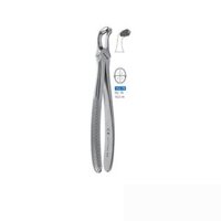 Kìm Nhổ Răng Khôn Hàm Dưới Schwert -79 – Dụng Cụ Nha Khoa Cao Cấp