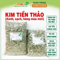 Kim tiền thảo, đánh bay sỏi thận, sỏi mật, sỏi bàng quang, đường tiết niệu, lợi mật, thông tiểu, giãn mạch