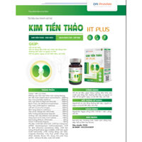 KIM TIỀN THẢO, đánh bay sỏi thận, sỏi mật, sỏi bàng quang, lợi mật, thông tiểu, giãn mạch, hạ huyết áp, hàng đẹp sạch