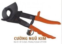 KÌM TRỢ LỰC CẮT DÂY CÁP ĐIỆN 240MM ASAKI AK8401