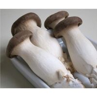 King Oyster Mushrooms (Nấm Đùi Gà) – 300gr/box