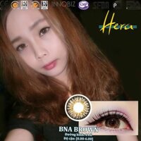 Kính áp tròng 6 tháng BNA Brown 0 đến 6 độ- 14.2mm