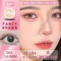 Kính áp tròng 6 tháng Hàn QUốc GAMILENS 14.5mm độ cận 0 - 8 Zlens FANCY BROWN