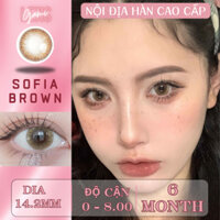 Kính áp tròng 6 tháng Hàn Quốc GAMILENS độ cận từ 0 - 8 Zlens SOFIA BROWN