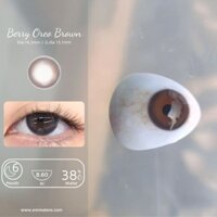 Kính Áp Tròng Berry Oreo Brown kết hợp MPV ẩm | Lens Nâu Tự Nhiên 6 Tháng | Kính Áp Tròng Emma