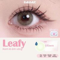 Kính áp tròng Dabae màu xanh lá ánh vàng Leafy lens cận Hàn Quốc