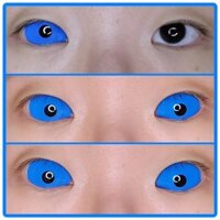 Kính áp tròng đen xanh tròng 22mm (Blue Sclera lens 22mm)