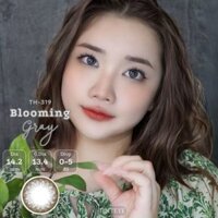 Kính áp tròng hoa nâu xanh dương Tinteye Lens TH-319