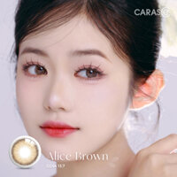 Kính Áp Tròng Khóa Ẩm 14H 3 Tháng Màu ALICE BROWN CARASE, Lens Cận ALICE BROWN ( 1 chiếc)