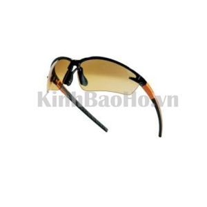 Kính bảo hộ Deltaplus FUJI2