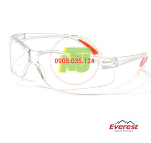 Kính bảo hộ Everest EV201
