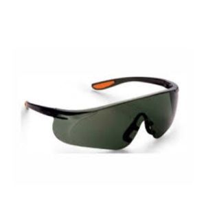 Kính bảo hộ Everest EV304