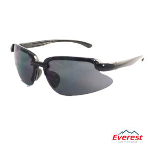 Kính bảo hộ Everest EV902