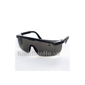 Kính bảo hộ Safetyman SM416B