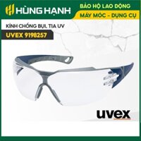 Kính bảo hộ Uvex Pheos CX2, Kính chống bụi, chống hơi nước, chống tia UV dùng đi xe máy, lao động