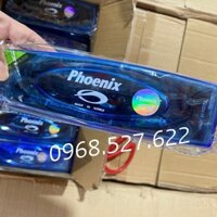 Kính bơi trẻ em, Kính bơi phoenix Hàn Quốc Chính Hãng