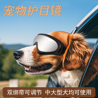 Kính cho thú cưng Kính cho chó cỡ lớn vừa Mũ cho thú cưng Kính chống gió ngoài trời Kính râm cho chó