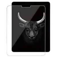 Kính cường lực iPad Air 13 inch M2 2024 Glass 9H